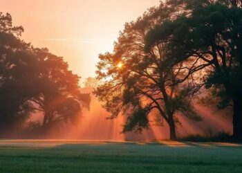 Oração do Dia: Refletindo sobre Salmo 103 para a Sua Vida