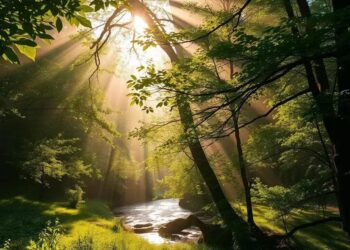 Oração do Dia: Encontre Paz e Esperança no Salmo 27