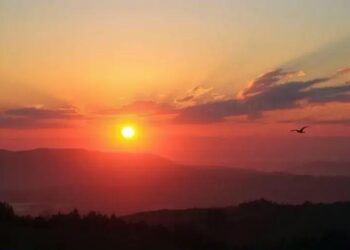 Oração do Dia: Salmo 1 para Renovar Sua Esperança