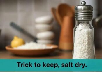 Descubra Como Manter Seu Sal Sempre Seco com Este Truque Simples