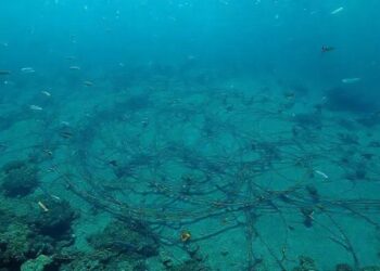 Ameaças aos cabos submarinos: A infraestrutura crítica sob ataque