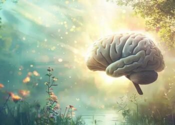 A importância da faxina mental para o cérebro e a saúde